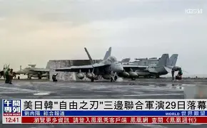 佛歌莲花为我开