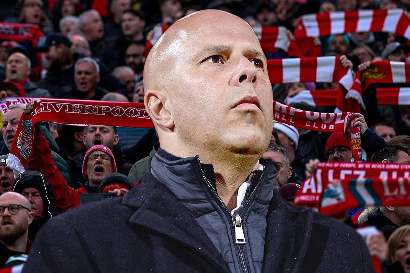 ag体育平台-大棚种植什么最赚钱